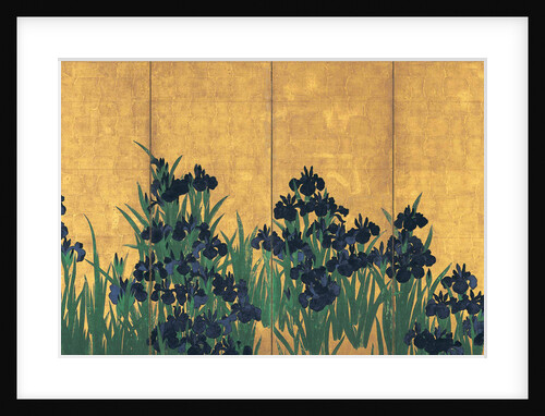 Irises, 18th century by Anonymous