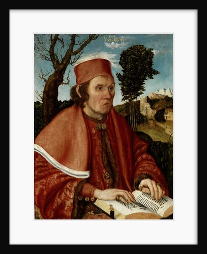 Portrait of a Jurist (Dr. Johann Stephan Reuss (?), 1503 by Anonymous