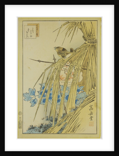 Winter Wren and WInter Peony, from the series Forty-eight Hawks Drawn from Life, 1859 by Anonymous