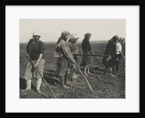 Kolkhos women on the field, Early 1930s by Anonymous