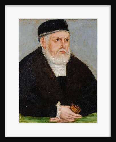 Portrait of Sigismund I of Poland, c. 1565 by Anonymous