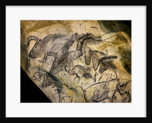 Painting in the Chauvet cave, 32,000-30,000 BC by Anonymous