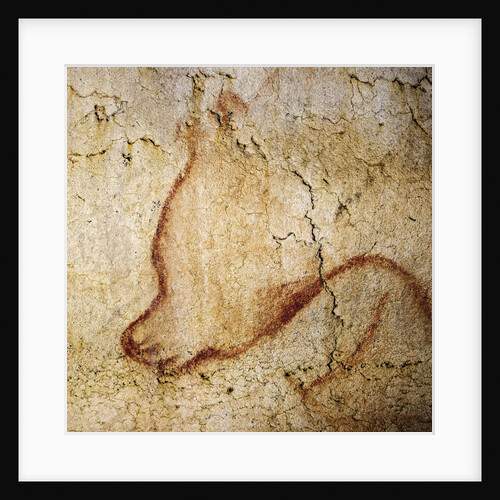 Painting in the Chauvet cave, 32,000-30,000 BC by Anonymous