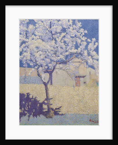 The Flowering Tree (Larbre en fleur), 1893 by Anonymous