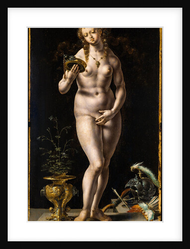 Vanitas, 1520-1524 by Anonymous