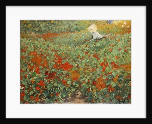 The garden, 1893 by Anonymous