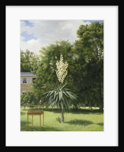 Yucca Gloriosa in the Park at Neuilly, 1845 by Anonymous