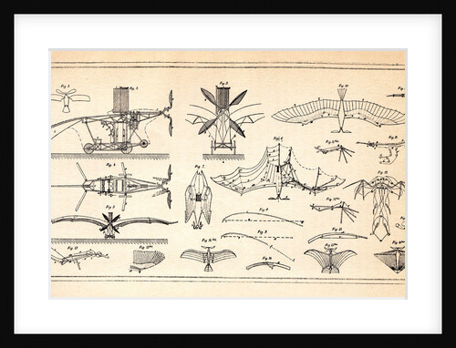 Ader Éole, 1890s by Anonymous