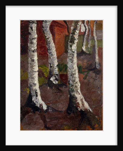 Birch trees in front of red house wall, ca 1901 by Anonymous