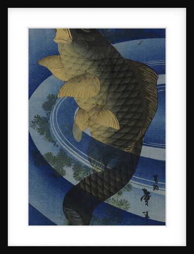 Carp (Koi), c. 1830-1840 by Anonymous