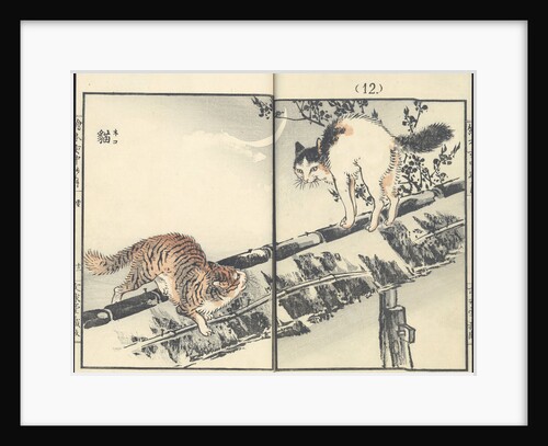 Cats by Anonymous