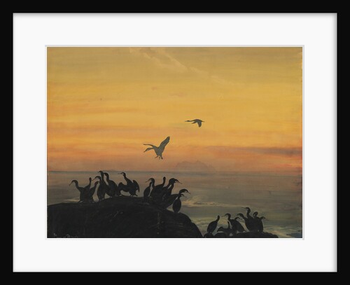 Cormorants by sunset, by Anonymous