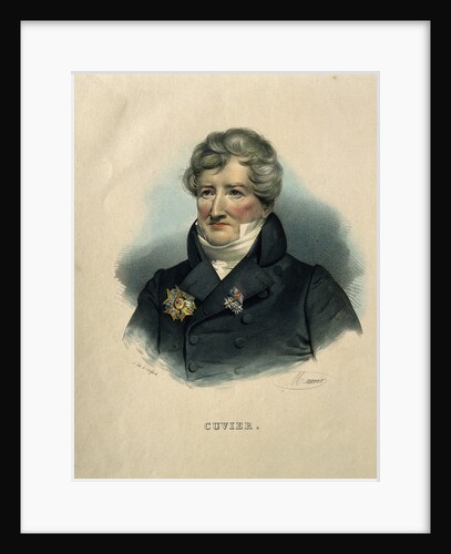 Georges Léopold Chrétien Frédéric Dagobert, Baron de Cuvier, by Anonymous