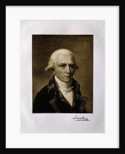 Jean-Baptiste Pierre Antoine de Monet, Chevalier de Lamarck, 1801 by Anonymous