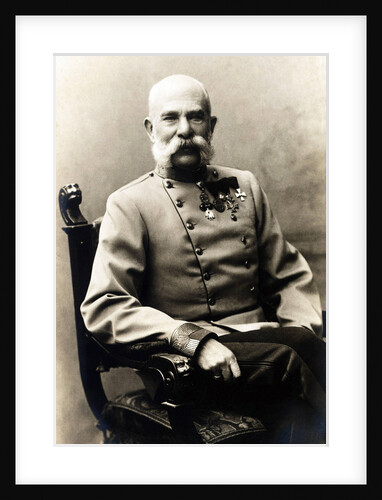 Portrait of Franz Joseph I of Austria, 1900s by Anonymous
