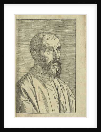 Portrait of Marco Mantova Benavides, 1555 by Anonymous