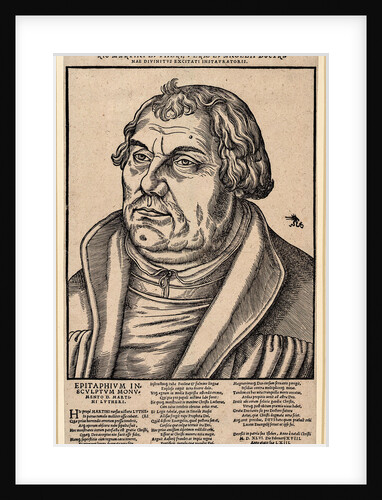 Portrait of Martin Luther, 1546 by Anonymous