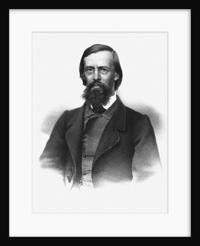 Portrait of the poet Apollon Maykov, 1860s by Anonymous