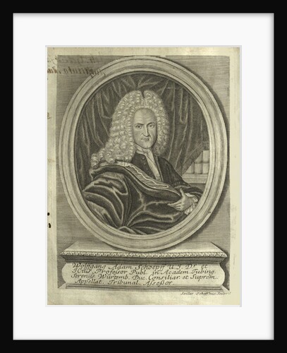 Portrait of Wolfgang Adam Schoepf the Younger, ca 1728 by Anonymous