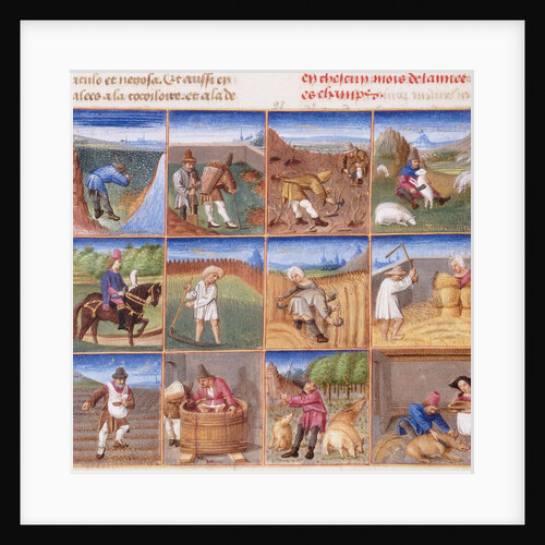 Ruralia commoda. Agricultural calendar from a manuscript of Pietro de Crescenzi, ca 1470-1475 by Anonymous