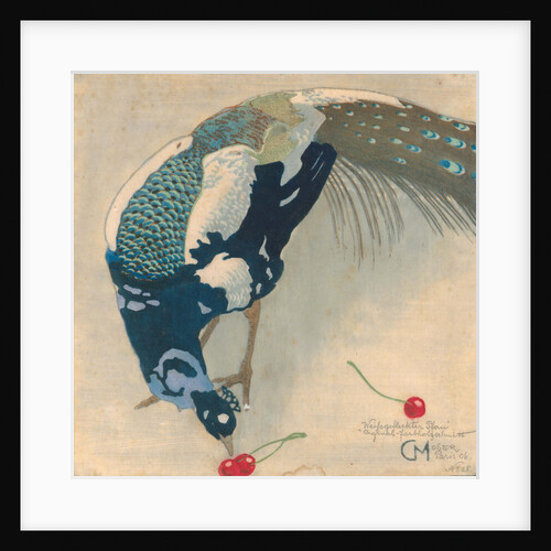 White-Spotted Peacock, 1906 by Anonymous