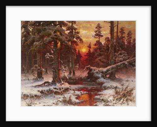 Winter sunset in a Pine Forest, 1898 by Anonymous