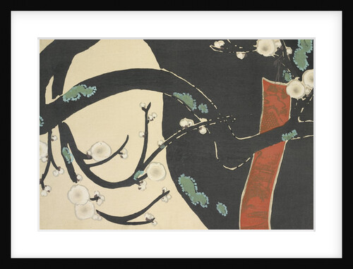Ume by Anonymous