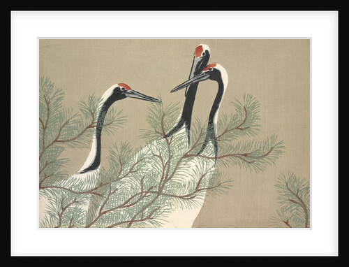 Tsuru by Anonymous