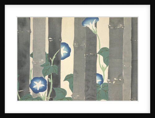 Asagao by Anonymous