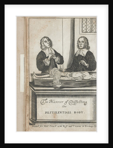 Two men dissecting a body with plague marks, 1666 by Anonymous
