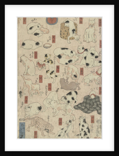 Cats by Anonymous