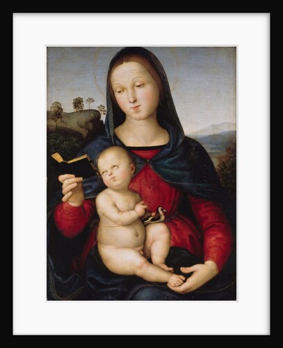 The virgin Mary is reading a book (The Solly Madonna), c. 1502-1503 by Anonymous