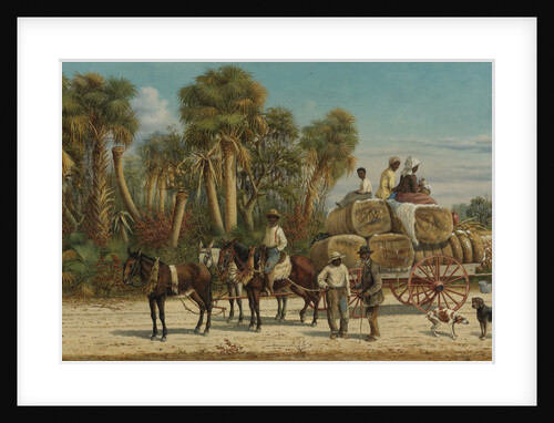The Cotton Wagon, 1880s by Anonymous