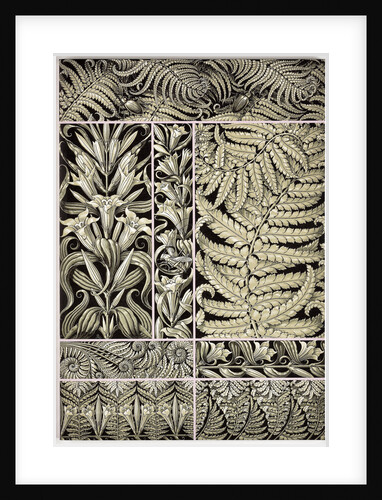 The plant ornaments, c. 1890 by Anonymous