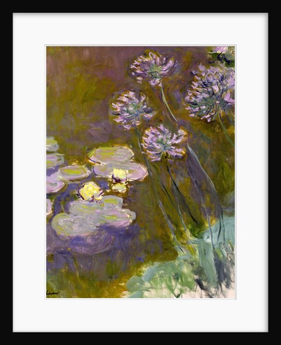 Water Lilies and Agapanthus, 1914-1917 by Anonymous