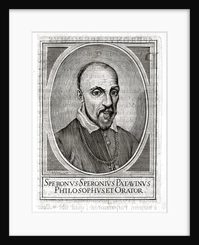 Portrait of Sperone Speroni by Anonymous