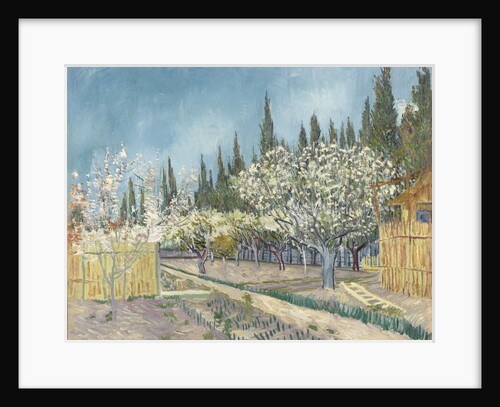 Orchard bordered by cypresses, 1888 by Anonymous