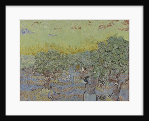Olive grove with two olive pickers, 1889 by Anonymous