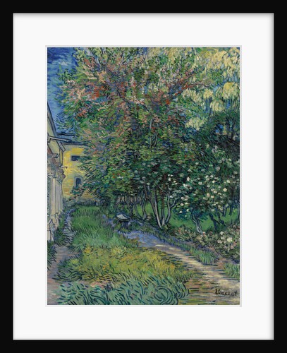 The garden at the asylum at Saint-Rémy, 1889 by Anonymous