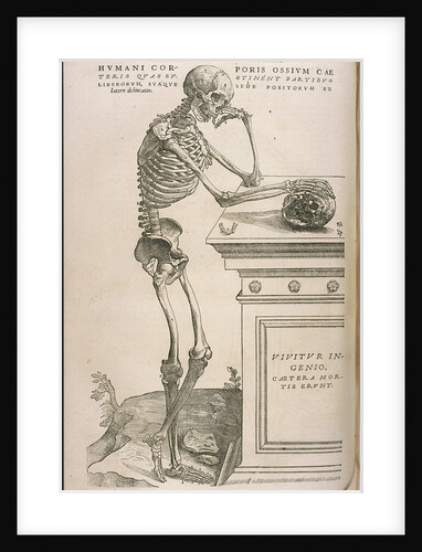 Illustration from De humani corporis fabrica by Andreas Vesalius, ca 1543 by Anonymous