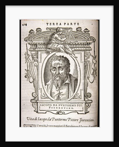 Jacopo da Pontormo, ca 1568 by Anonymous