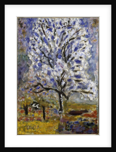 Lamandier en fleurs (The Almond Tree in Blossom), 1947 by Pierre Bonnard