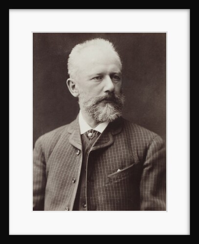 Portrait of the composer Pyotr Ilyich Tchaikovsky, 1887 by Anonymous