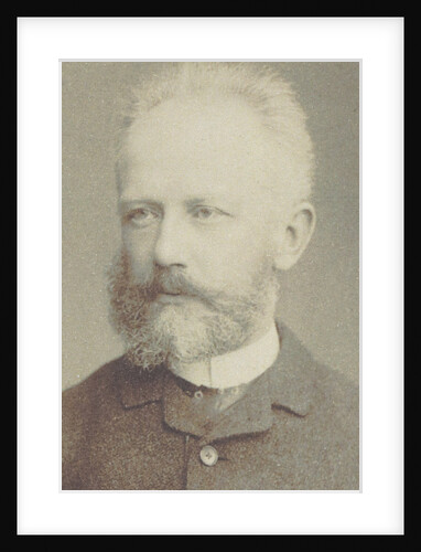 Portrait of the composer Pyotr Ilyich Tchaikovsky, 1884 by Anonymous