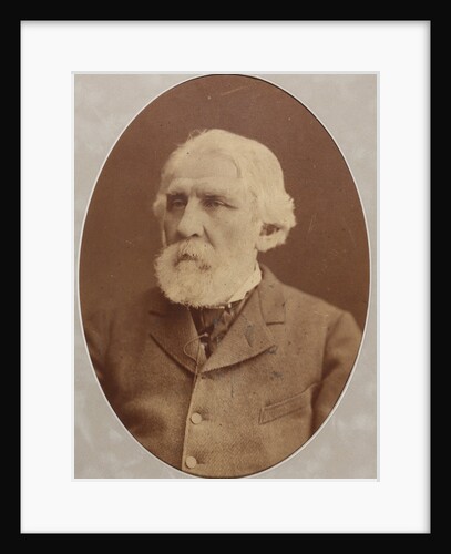 Portrait of the author Ivan Sergeyevich Turgenev, 1879 by Anonymous