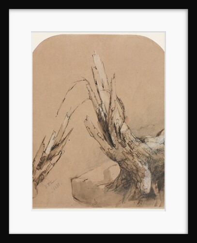 A Blasted Tree Floorplan, 1851 by Jasper F. Cropsey