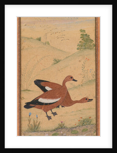A pair of Brahminy ducks, c. 1595; borders added probably 1800s by Unknown
