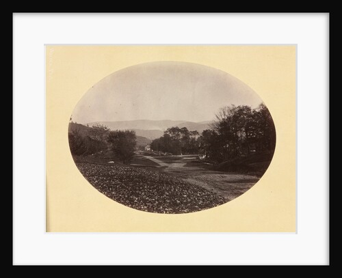 A Road in Williamstown, c. 1870 by George K. Warren