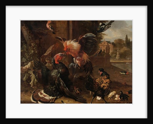 A Rooster and Turkey Fighting, c. 1680 by Melchior de Hondecoeter