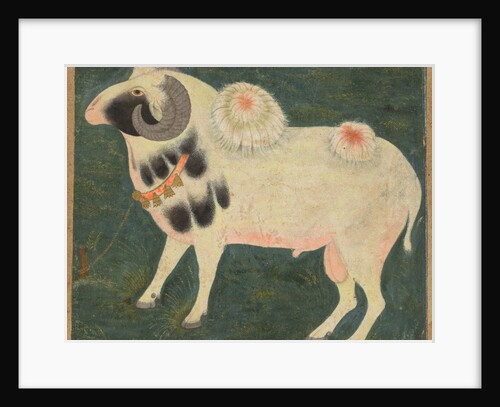 A royal ram with a gold chain, c. 1585; border added probably 1700s by Unknown